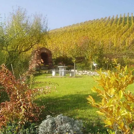 Mayer - 2 Lautenbach