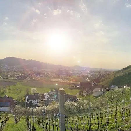 Mayer - 2 別荘 Lautenbach