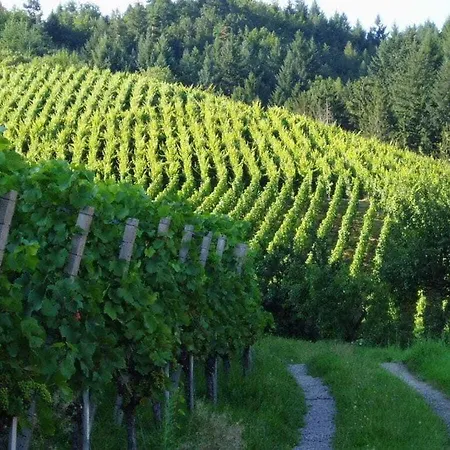 別荘 Mayer - 2 Lautenbach