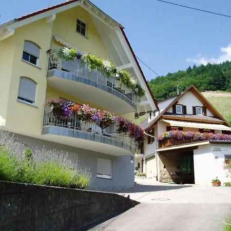 Mayer - 2 別荘 Lautenbach