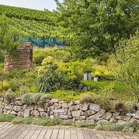 Mayer - 2 * Lautenbach