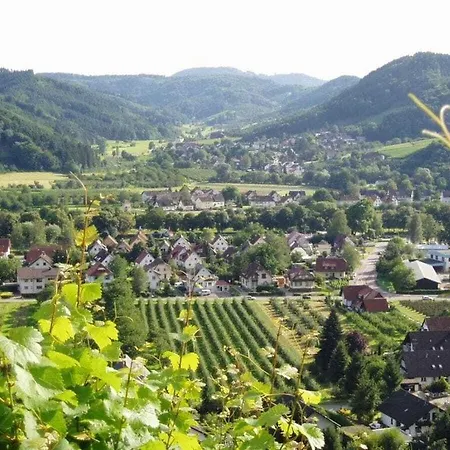 Mayer - 2 別荘 Lautenbach